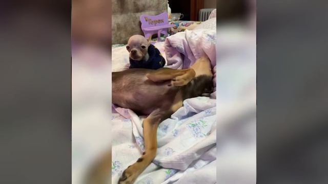 27 февраля 2021 г.