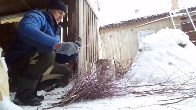 Делаем веник из берёзовых виц смотреть онлайн