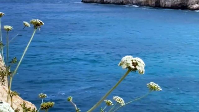 Семья Колесниковых/Новости из Дворца. смотреть онлайн