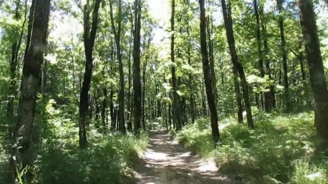 Мёд Горячего Ключа - как понимает его диллетант смотреть онлайн