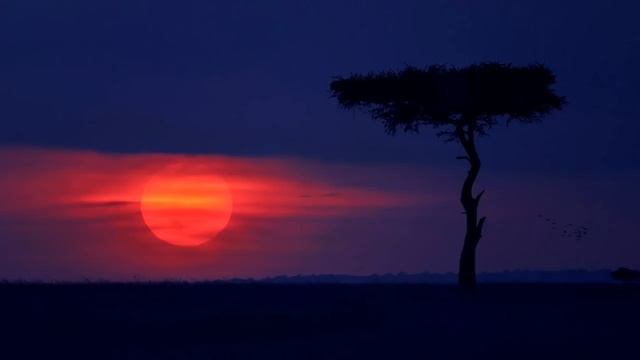 Bonga - Mona Ki Ngi Xica