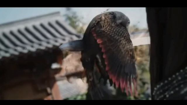 Till The End Of The Moon | Cdrama | Grain In Ear  | #cdrama