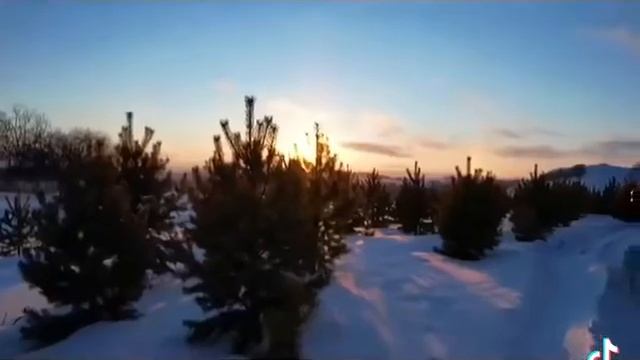 the cybertank 300 смотреть онлайн