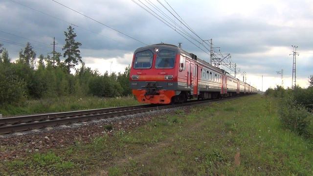 Электропоезд ЭД4М-0341 выходит на перегон Фрязево-Павловский Посад. смотреть онлайн