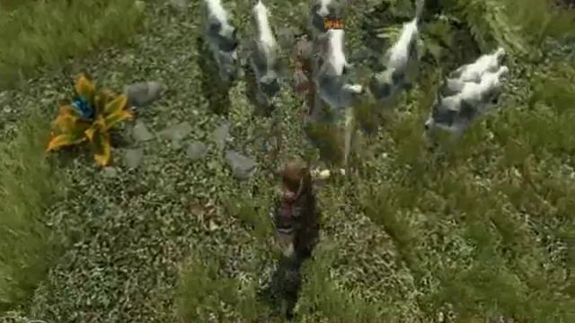 Gothic 3 1.70 (Enhanced Edition) wataha wilków смотреть онлайн