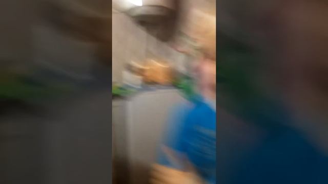 Маленький бородач.