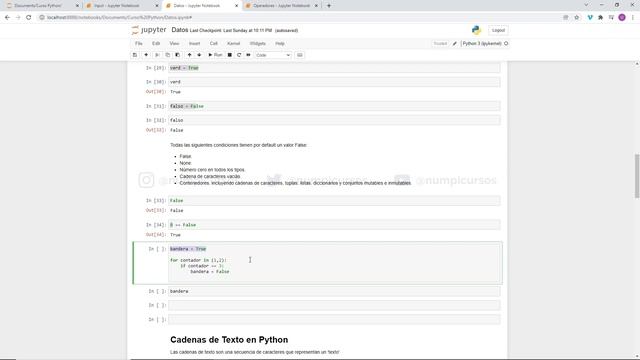 11 Características de los valores booleanos (True y False) en Python смотреть онлайн