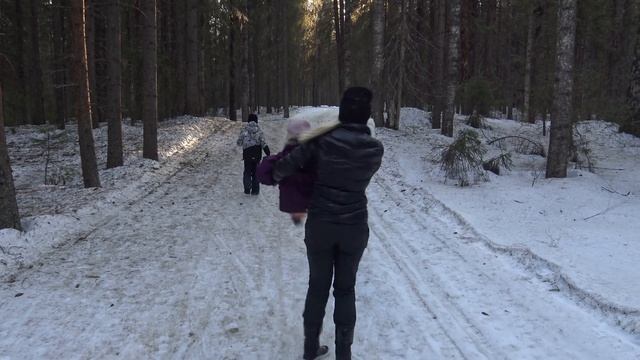 САМОИЗОЛЯЦИЯ В ЛЕСУ