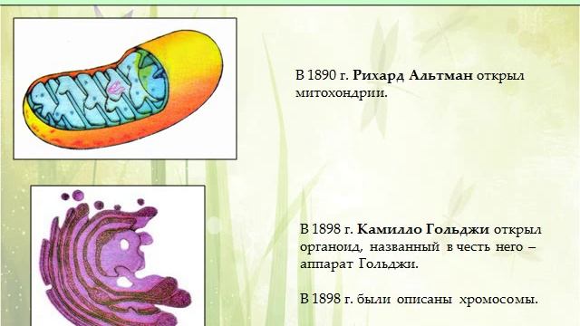 Презентация История и методы изучения клетки, клеточная теория эволюции смотреть онлайн