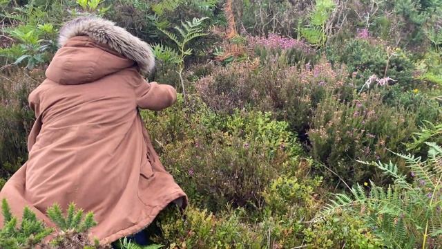 60. ОДНО ИЗ САМЫХ КРАСИВЫХ МЕСТ НА ПЛАНЕТЕ. ONE OF THE MOST BEAUTIFUL PLACES. PRECIPICE WALK, WALES смотреть онлайн