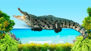 ЖИВОТНЫЕ ДЛЯ ДЕТЕЙ - хищные животные, развивающие мультики для детей.mp4