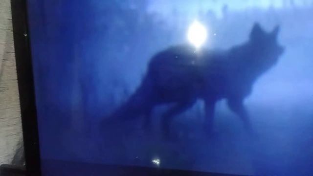 Red Dead Redemption 2 the black wolf is amazing смотреть онлайн