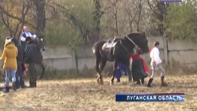 Казачий конный театр смотреть онлайн