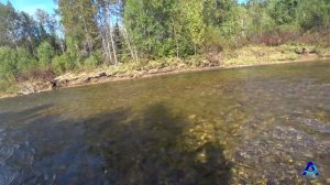 Рыбалка. Ловля хариуса на грузовой настрой. Angara.