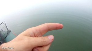 Мощный лодочный электромотор. Рыбалка с лодки.