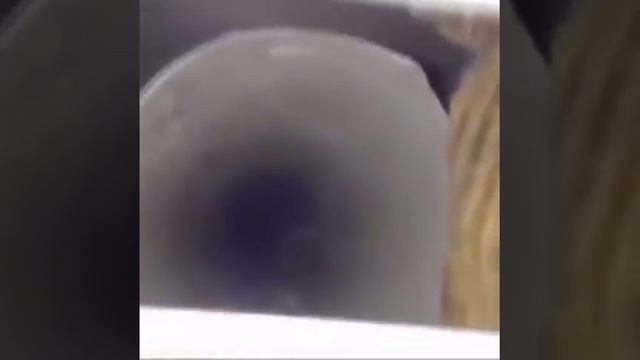 DONT CHALLENGE SHAGGY смотреть онлайн