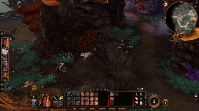 Как получить собаку Шкряба ➤ Спутники в Baldur's Gate 3 смотреть онлайн