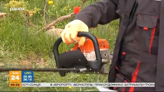 Садовые советы: обрезаем можжевельник смотреть онлайн