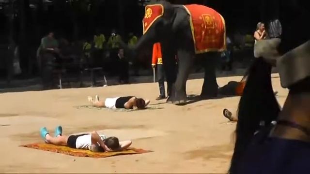 Попал под СЛОНА!!! смотреть онлайн