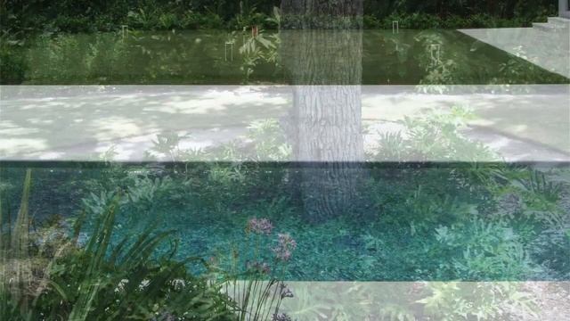 Benincasa%20Gardens Hd