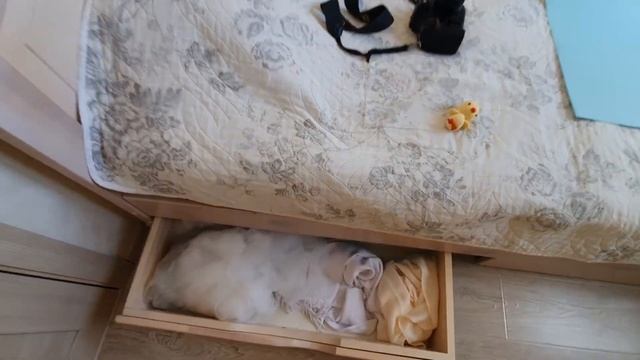 Секрет быстрой фотографии. Как тратить меньше времени на съемку?