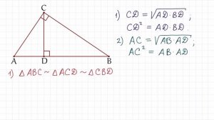 Пропорциональные отрезки в прямоугольном треугольнике