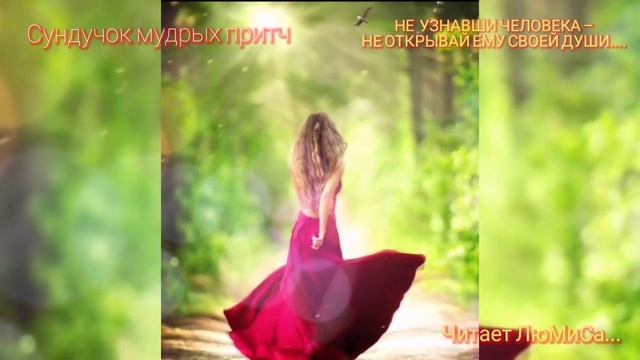 сундучок мудрых притч не УЗНАВШИ человека не открывай ему своей души читает ЛюМиС.mp4