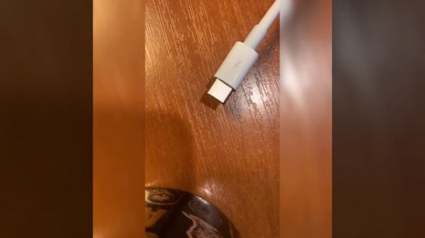 подключение MOTU 828 mkII FireWire (IEE1394) к apple mac mini 2018