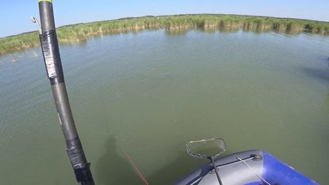 РЫБАЛКА НА ОЗЕРЕ ЛОВИМ САЗАНА, ОКУНЯ, КАРАСЯ. КРУПНАЯ РЫБА смотреть онлайн