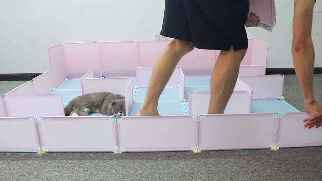 Design Maze Playground For Pomeranian Poodle Puppies & USA Kitten - DIY Dog House - Mr Pet #277