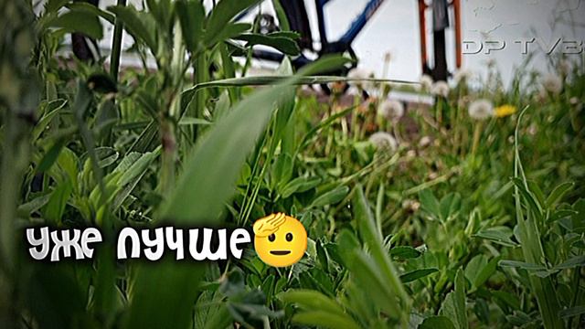 Тренд вроде смотреть онлайн