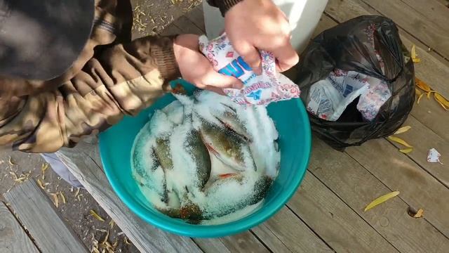 Как солить окуней.Рецепт вкусного посола! смотреть онлайн