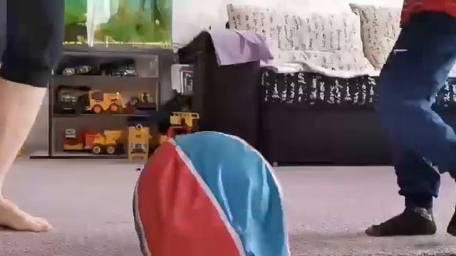 #яостаюсьдома Елена Колчанова: "Который день сижу я дома..." смотреть онлайн