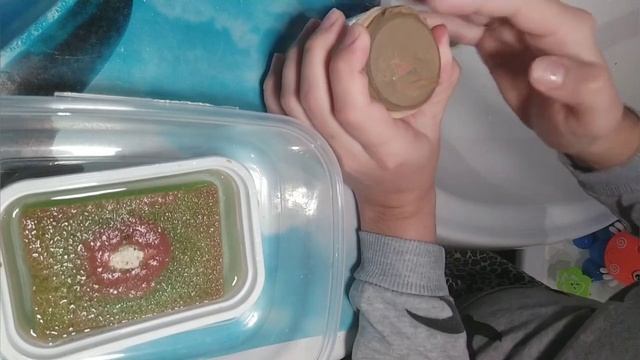 Аулофорус без неприятного запаха в квартире!!!! Мой ежедневный уход за змейкой!!! Живой корм для ры смотреть онлайн