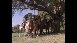 Girls Hanged | ONLY DEATHS