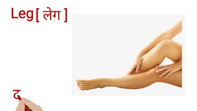 Human Body Parts Names in Hindi and English | शरीर के अंगों के नाम के नाम हिन्दी और अंग्रेजी में смотреть онлайн