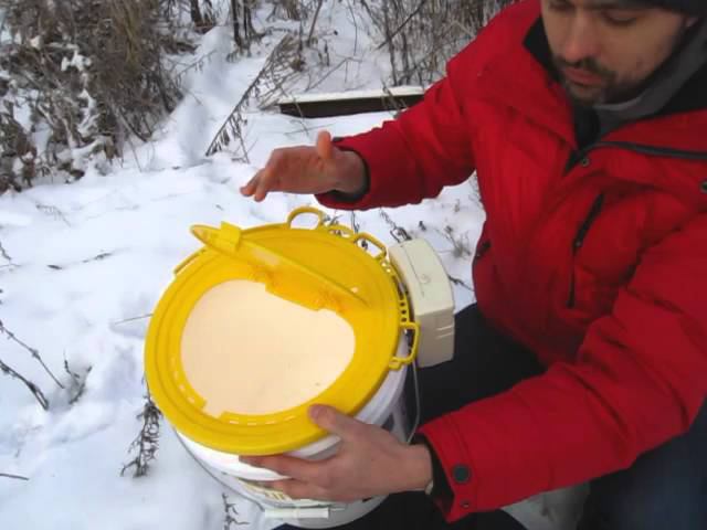 Кофр для кана смотреть онлайн