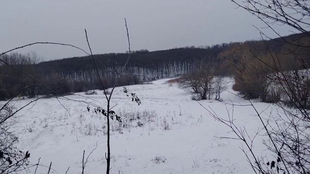 Вирусы атакуют,приехал на дачу и сразу уехал.#дача #теплица #огород #