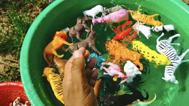 Animals In Water Cow, Buffalo, Fox, Leopard, Zebra, Elephant, Giraffe, Lion, Cats, For Kids Learnin