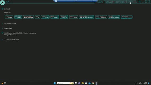 Kaspa Node Upgrade Guide: Protecting Your Node from Dust Attacks смотреть онлайн