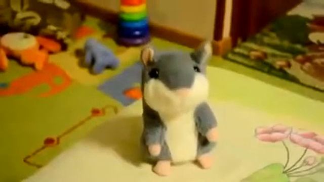 Говорящий хомячок читает стих смотреть онлайн