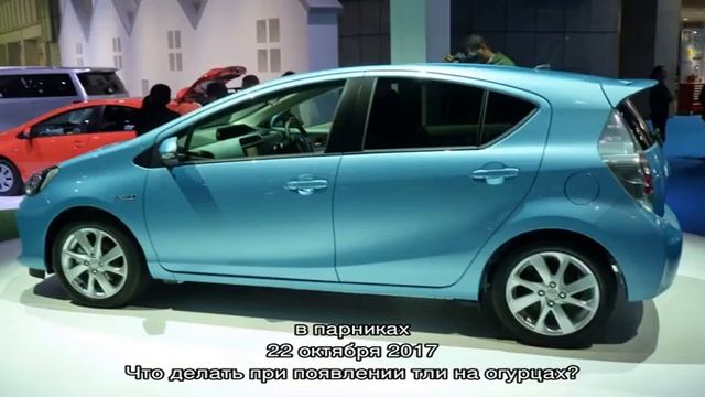 Выращивание огурцов в мешках (видео) смотреть онлайн