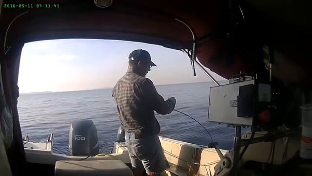 Sea-lover Σφυριδα 9 kg !!!!!!!!!!! смотреть онлайн