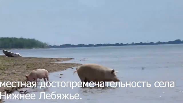 1 часть рыбалки в Астрахани смотреть онлайн