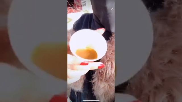 Saudi girl bra open video | Saudi Imo video call live see | Saudi arab beautiful girl video смотреть онлайн