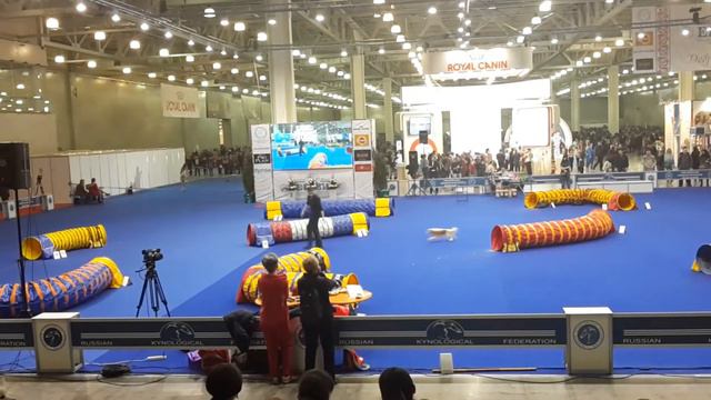 Евразия 2015 Умберто Трасса 1 смотреть онлайн