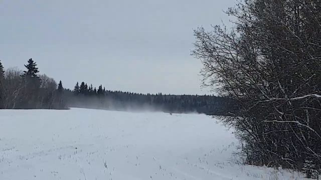 2002 MXZ 700 Vs Yamaha Venture GT 1049cc