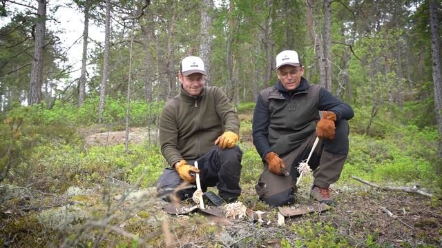 Knives for Bushcraft, Food prepping and Hunting - Bark River Aurora II and Canadian Special смотреть онлайн