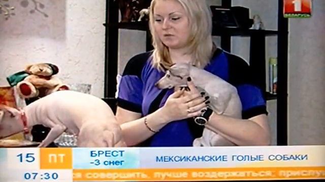 XOLO:)) ксоло дома