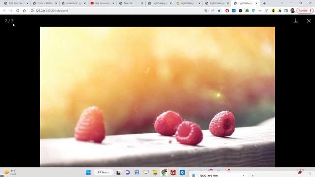 Javascript LightGallery.js Example to Build Responsive Lightbox Image Gallery With Editor in Browse смотреть онлайн
